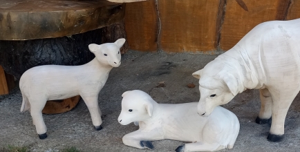 Niespodzianka przygotowywana na Rozświetlenie choinki